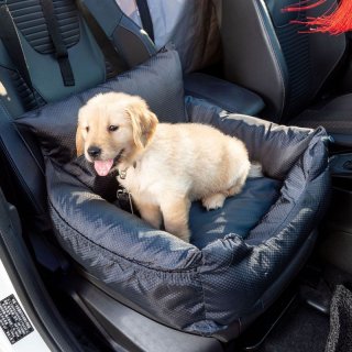 The Stylish and Functional Car Pet Seat for Cats and Dogs