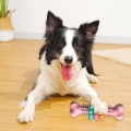 Dog Bone Chewable and Bite Resistant Toy - Your Pet's New Best Friend