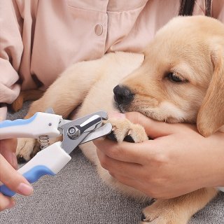 Pet Nail Clippers - The Ultimate Tool for Safe and Efficient Nail Trimming