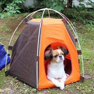 The Ultimate Indoor-Outdoor Pet Tent: A Stylish and Functional Shelter for Your Beloved Dog or Cat