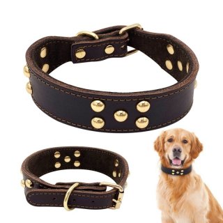 Elegant and Durable Dog Collar Made of Leather