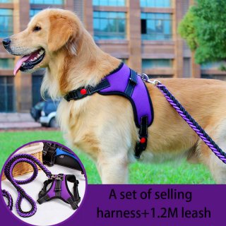 Sturdy and Comfortable Dog Leash with Chest Strap: A Safe Companion for Your Beloved Pet